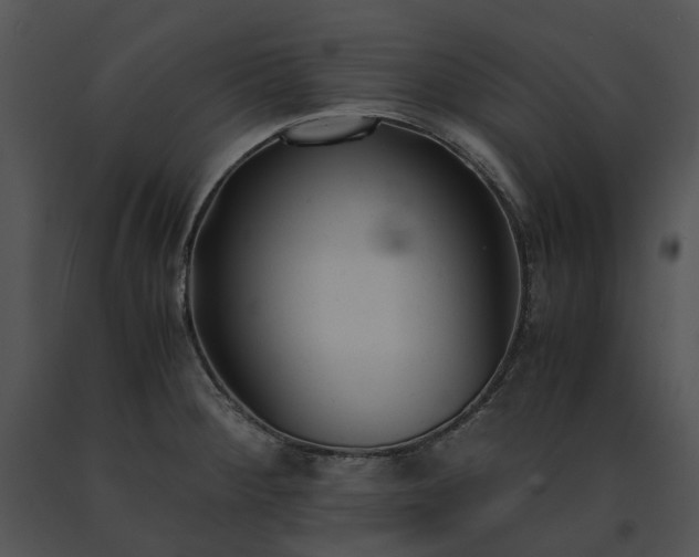 X0000091661284200708301431