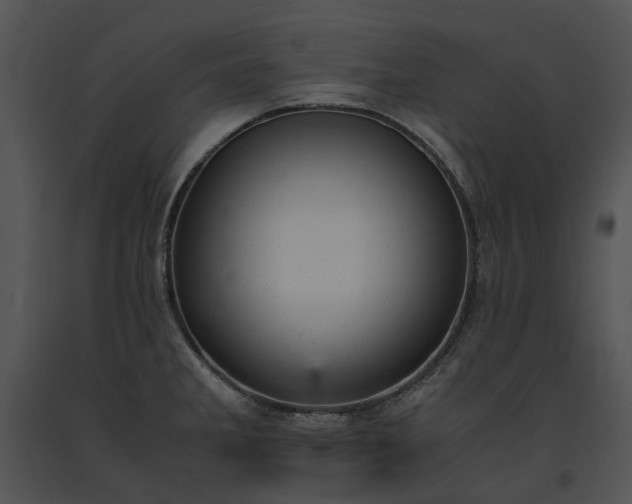 X0000091661285200708301431