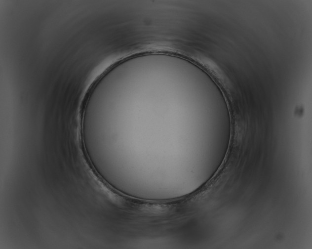X0000091661286200708301431