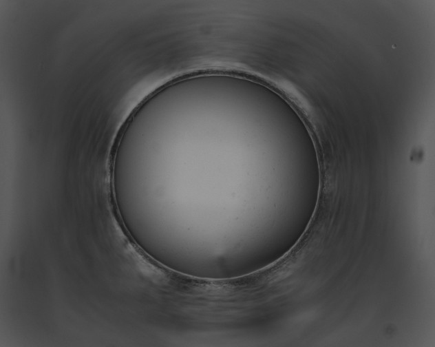 X0000091661287200708301431
