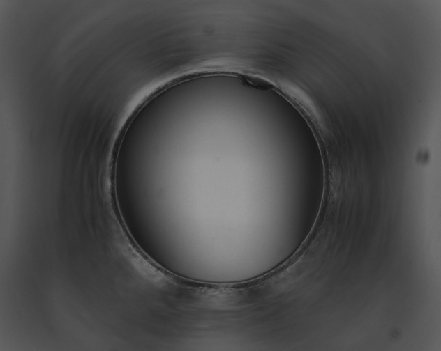 X0000091661288200708301431
