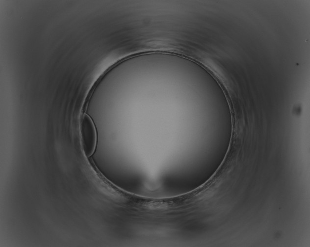 X0000091661291200708301431