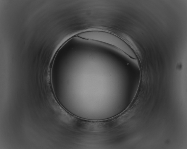 X0000091661292200708301431