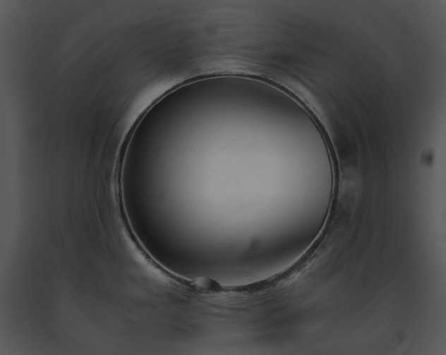 X0000091661293200708301431