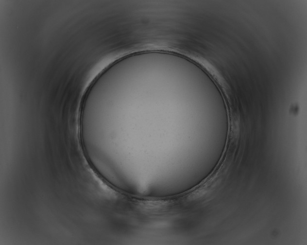 X0000091661294200708301431