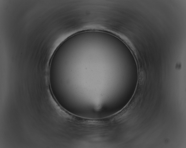 X0000091661295200708301431