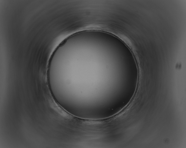X0000091661296200708301431