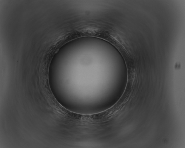X0000091661297200708301430