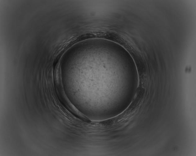 X0000091661298200708301430