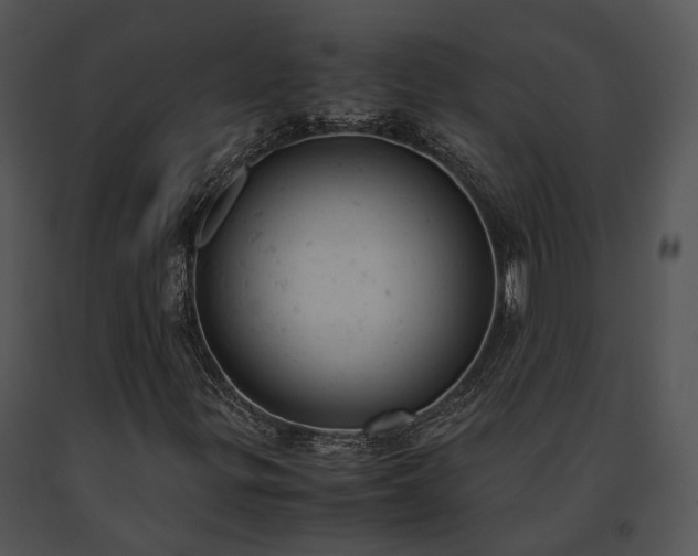 X0000091661299200708301430
