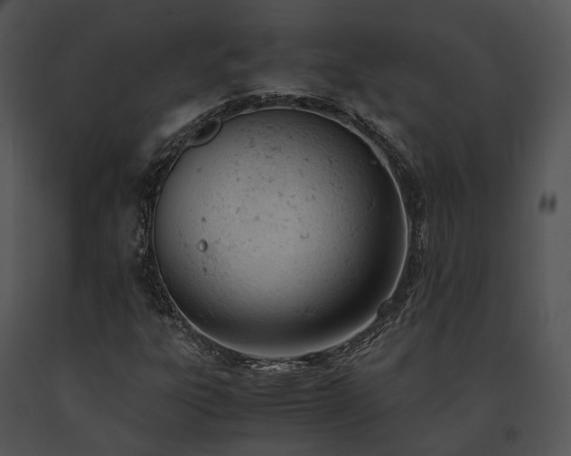 X0000091661303200708301430
