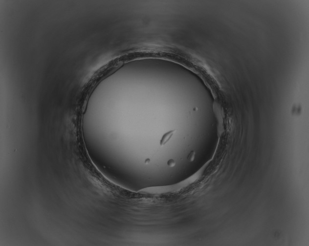 X0000091661304200708301430