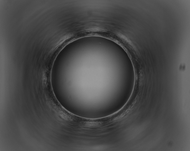X0000091661305200708301430