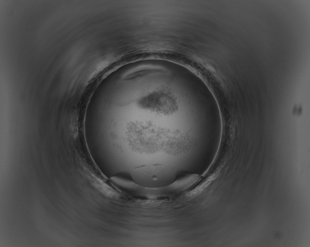 X0000091661306200708301430