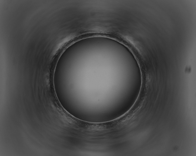 X0000091661307200708301430