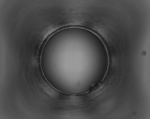 X0000091661308200708301430