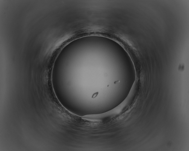 X0000091661309200708301430