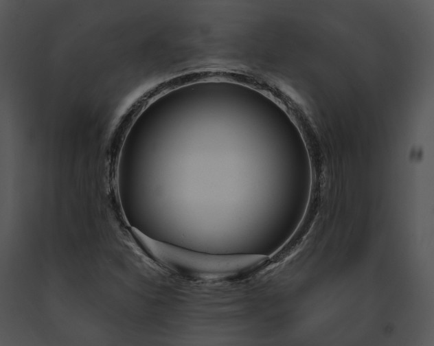 X0000091661310200708301430