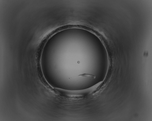 X0000091661311200708301430