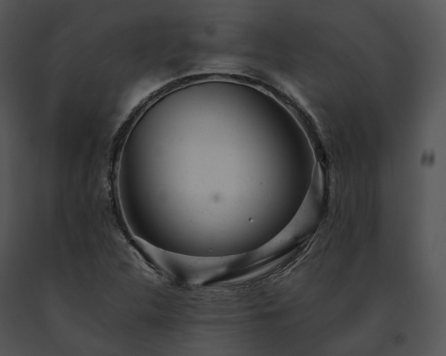 X0000091661312200708301430