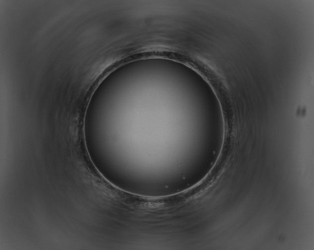 X0000091661313200708301430