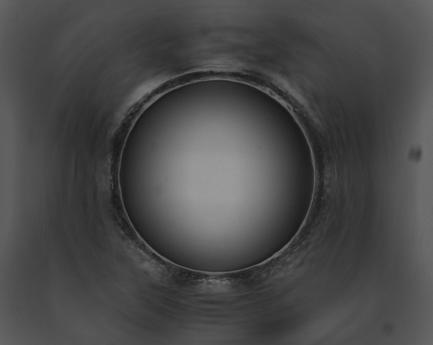 X0000091661315200708301430