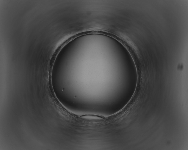 X0000091661316200708301430
