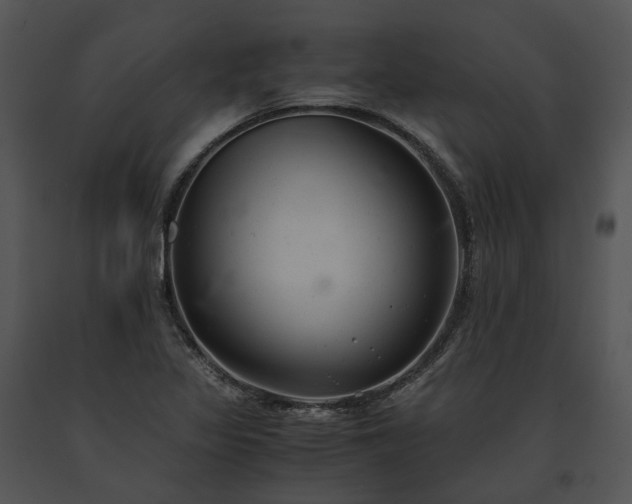X0000091661317200708301430