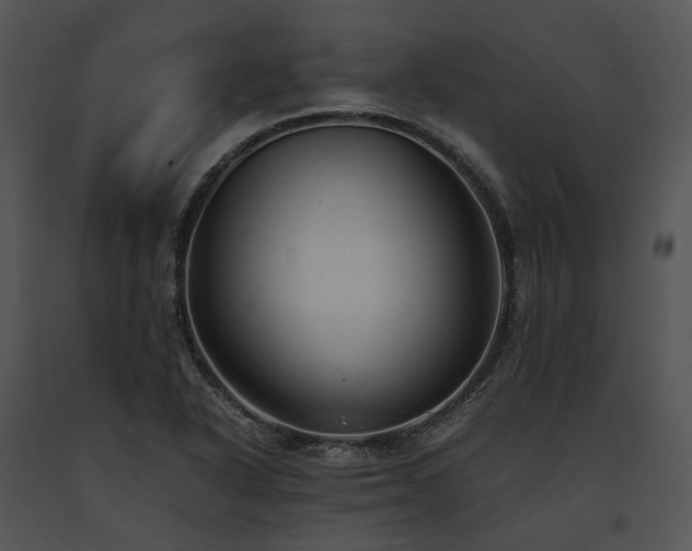 X0000091661318200708301430