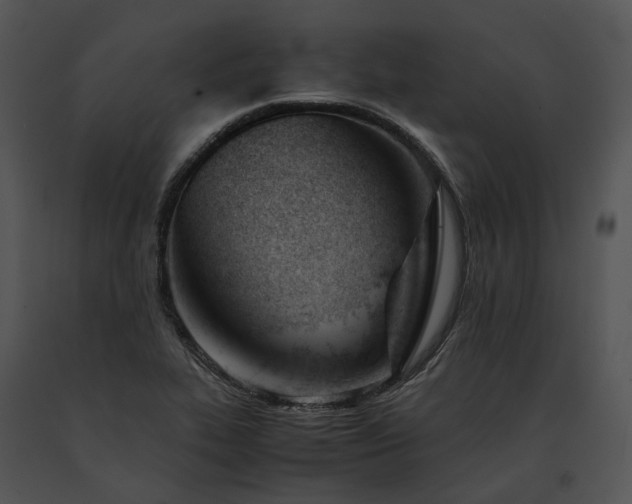 X0000091661319200708301430