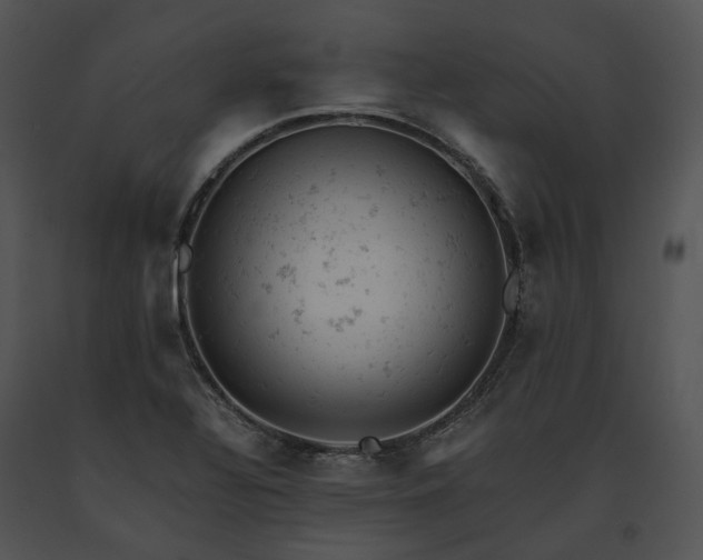 X0000091661320200708301430