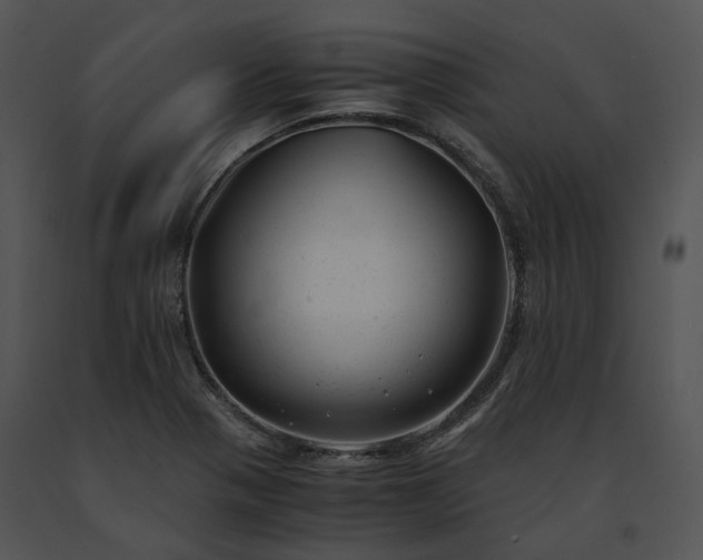 X0000091661321200708301430