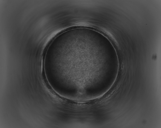 X0000091661323200708301430