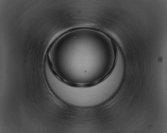 X0000091661324200708301430