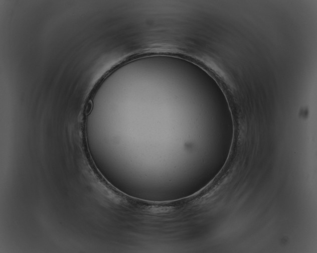 X0000091661325200708301430