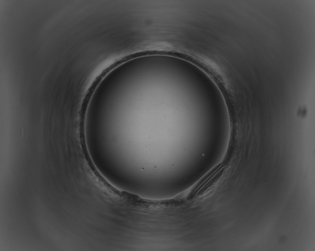 X0000091661326200708301430