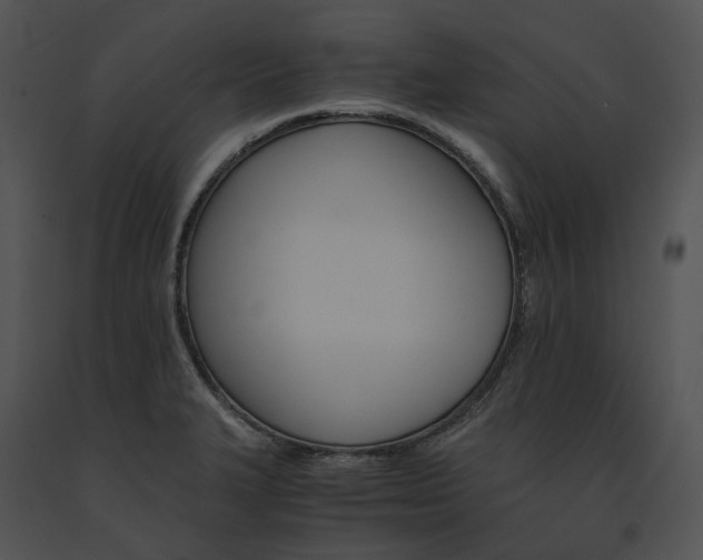 X0000091661327200708301430