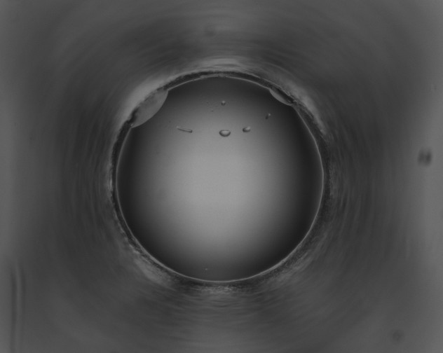 X0000091661328200708301430