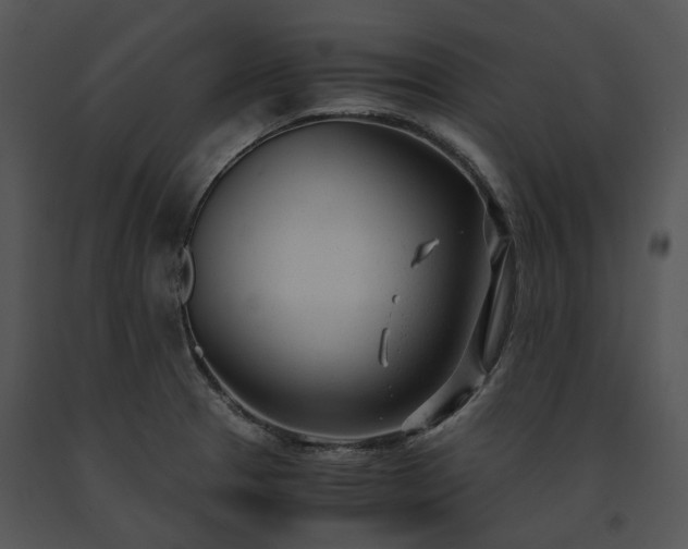 X0000091661329200708301430