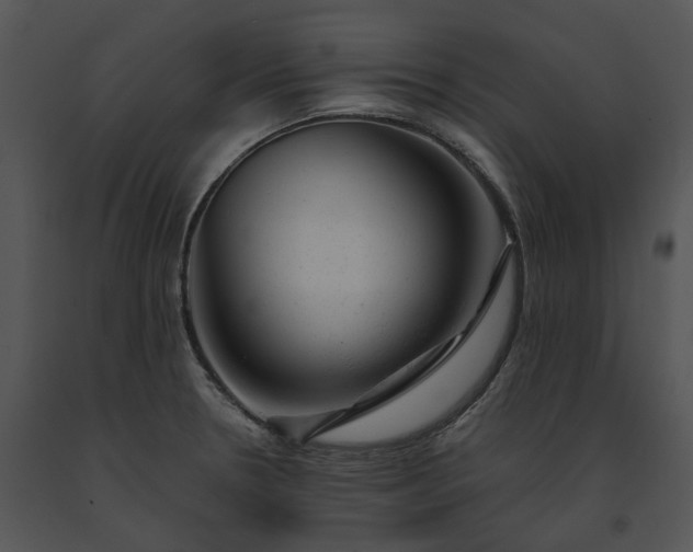 X0000091661330200708301430
