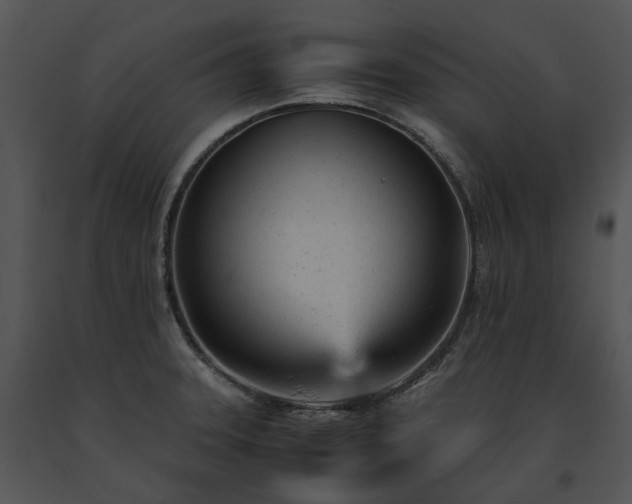X0000091661331200708301430