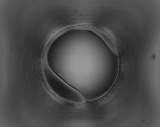 X0000091661332200708301430
