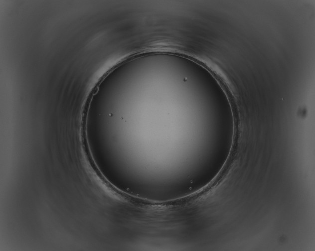 X0000091661333200708301430