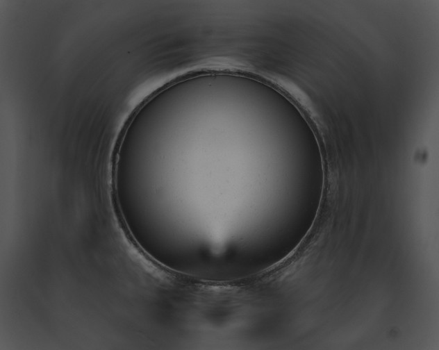 X0000091661335200708301430