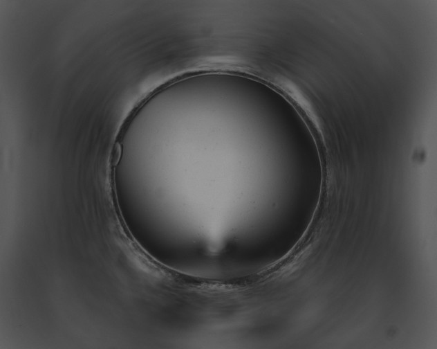 X0000091661336200708301430