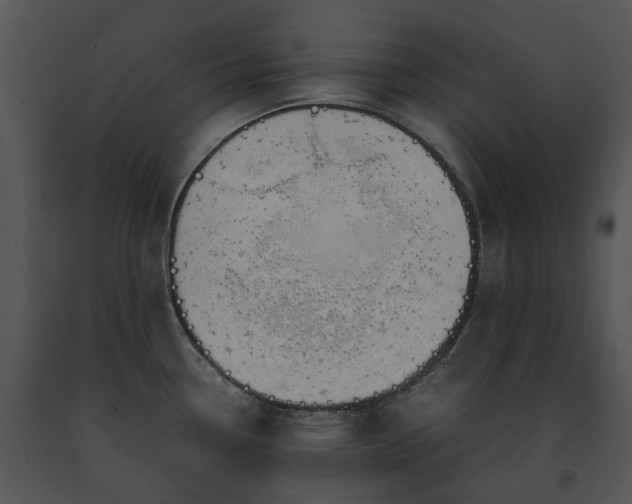 X0000091661338200708301430