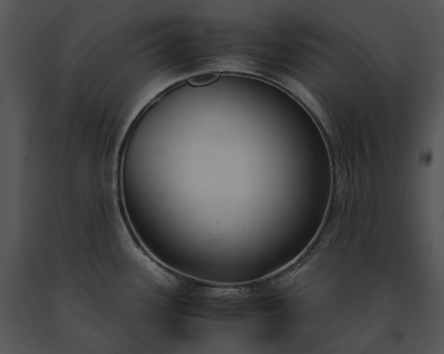 X0000091661339200708301430