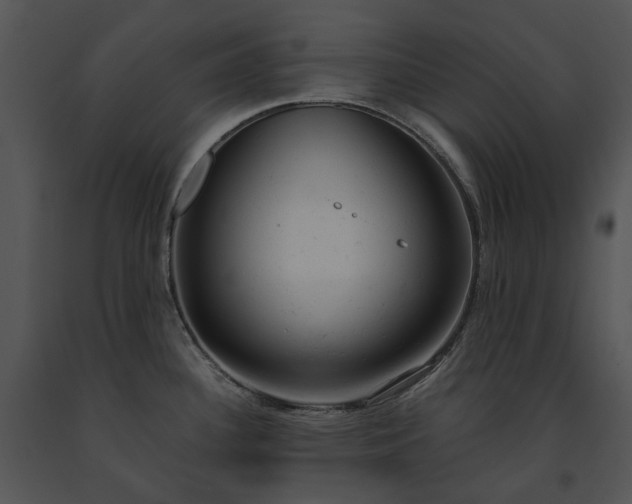 X0000091661340200708301431