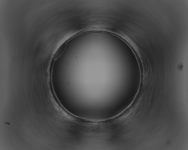 X0000091661341200708301431