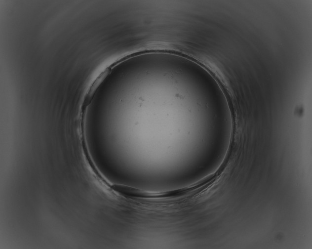 X0000091661342200708301431